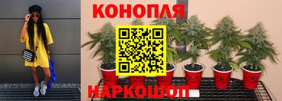 мет Чебаркуль